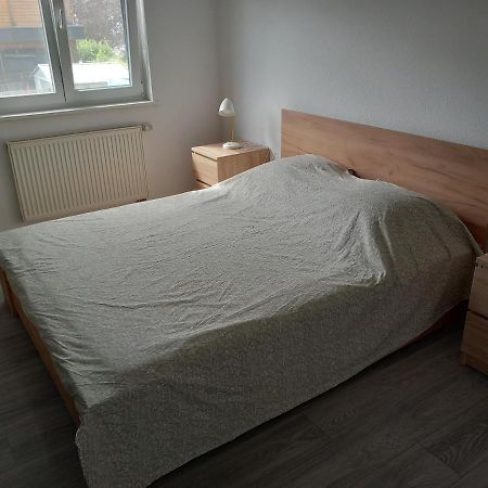 Appartement 3 Pieces Avec Balcon Rhinau Екстериор снимка